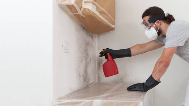 Professional Basement Mold Removal technician working in Randolph, MN